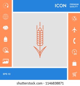 Wheat or rye spikelet icon