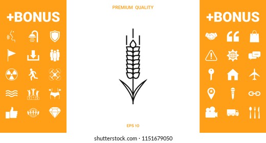 Wheat or rye spikelet icon