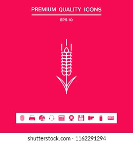 Wheat or rye spikelet icon