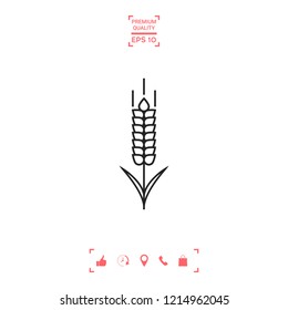 Wheat or rye spikelet icon