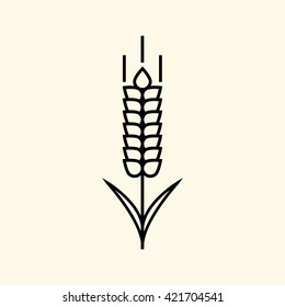Wheat or rye spikelet icon.
