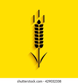 Wheat or rye spikelet icon.