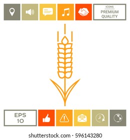 Wheat or rye spikelet icon