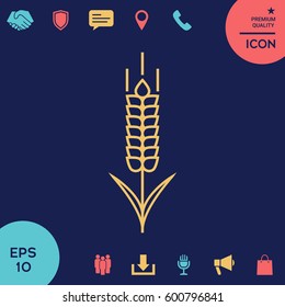 Wheat or rye spikelet icon