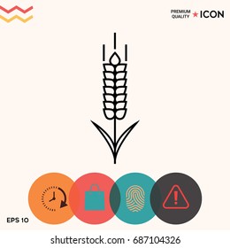 Wheat or rye spikelet icon