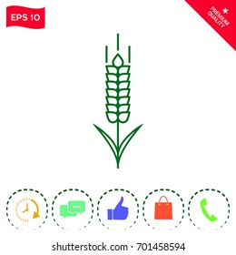 Wheat or rye spikelet icon