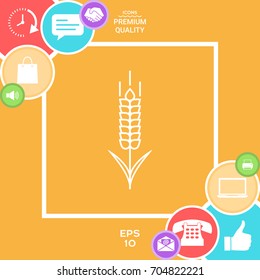 Wheat or rye spikelet icon