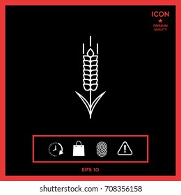 Wheat or rye spikelet icon