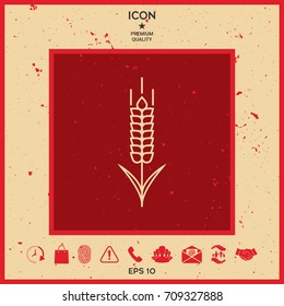 Wheat or rye spikelet icon