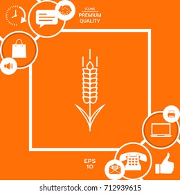 Wheat or rye spikelet icon