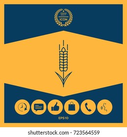 Wheat or rye spikelet icon