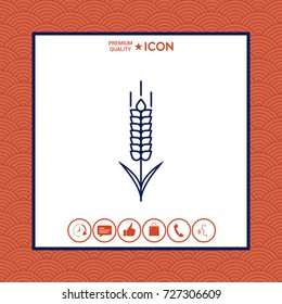 Wheat or rye spikelet icon