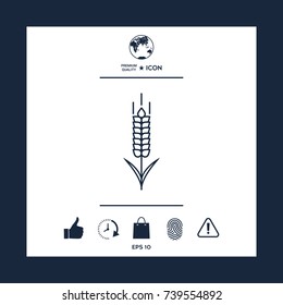 Wheat or rye spikelet icon