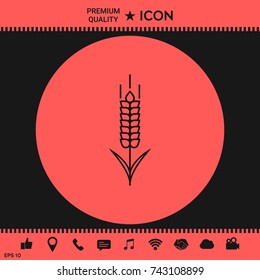 Wheat or rye spikelet icon
