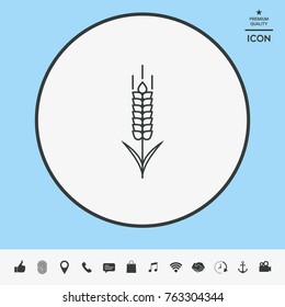 Wheat or rye spikelet icon