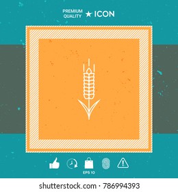 Wheat or rye spikelet icon