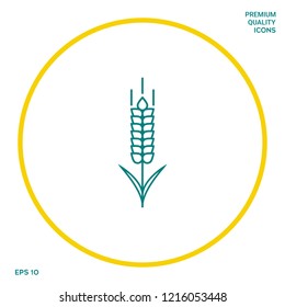 Wheat or rye spikelet icon. Graphic elements for your design