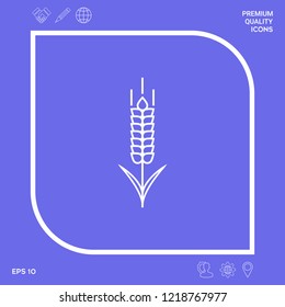 Wheat or rye spikelet icon. Graphic elements for your design