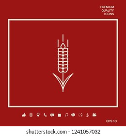 Wheat or rye spikelet icon. Graphic elements for your design