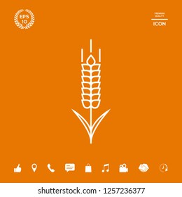 Wheat or rye spikelet icon. Graphic elements for your design