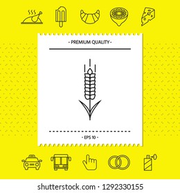 Wheat or rye spikelet icon. Graphic elements for your design