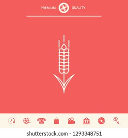 Wheat or rye spikelet icon. Graphic elements for your design