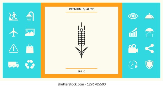 Wheat or rye spikelet icon. Graphic elements for your design