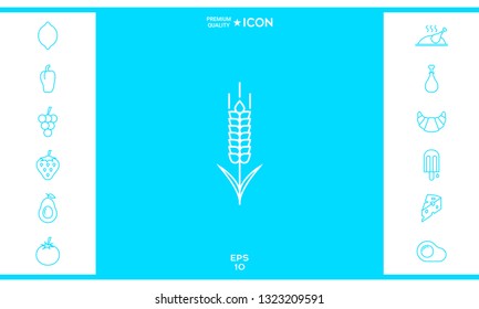 Wheat or rye spikelet icon. Graphic elements for your design