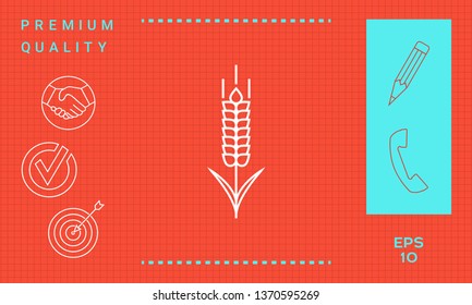 Wheat or rye spikelet icon. Graphic elements for your design