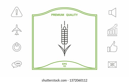 Wheat or rye spikelet icon. Graphic elements for your design