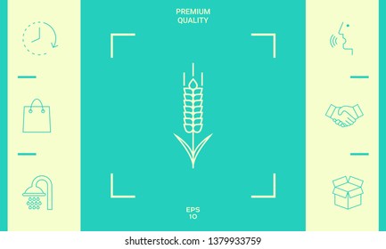 Wheat or rye spikelet icon. Graphic elements for your design