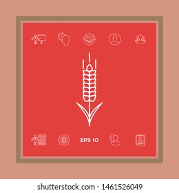 Wheat or rye spikelet icon. Graphic elements for your design