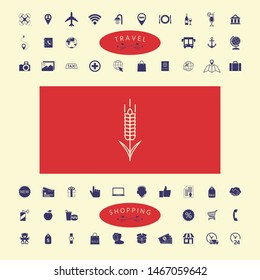 Wheat or rye spikelet icon. Graphic elements for your design