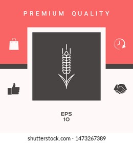 Wheat or rye spikelet icon. Graphic elements for your design