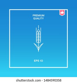 Wheat or rye spikelet icon. Graphic elements for your design