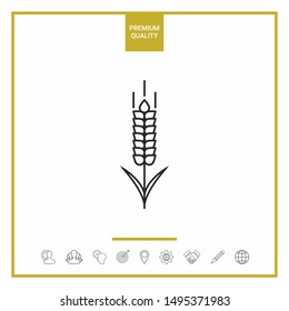 Wheat or rye spikelet icon. Graphic elements for your design