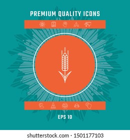 Wheat or rye spikelet icon. Graphic elements for your design