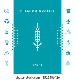 Wheat or rye spikelet icon. Graphic elements for your design