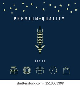 Wheat or rye spikelet icon. Graphic elements for your design