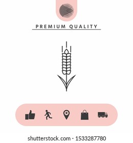 Wheat or rye spikelet icon. Graphic elements for your design