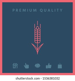 Wheat or rye spikelet icon. Graphic elements for your design
