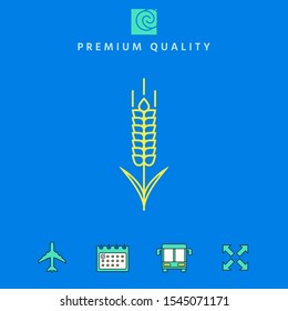 Wheat or rye spikelet icon. Graphic elements for your design