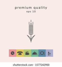 Wheat or rye spikelet icon. Graphic elements for your design
