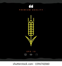 Wheat or rye spikelet icon. Graphic elements for your design