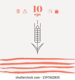 Wheat or rye spikelet icon. Graphic elements for your design