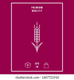 Wheat or rye spikelet icon. Graphic elements for your design