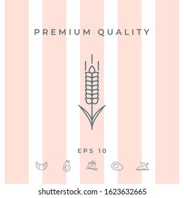 Wheat or rye spikelet icon. Graphic elements for your design