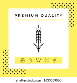 Wheat or rye spikelet icon. Graphic elements for your design