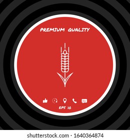 Wheat or rye spikelet icon. Graphic elements for your design