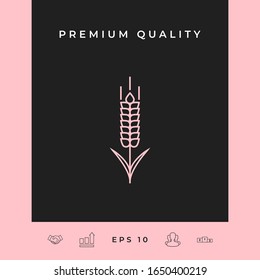 Wheat or rye spikelet icon. Graphic elements for your design
